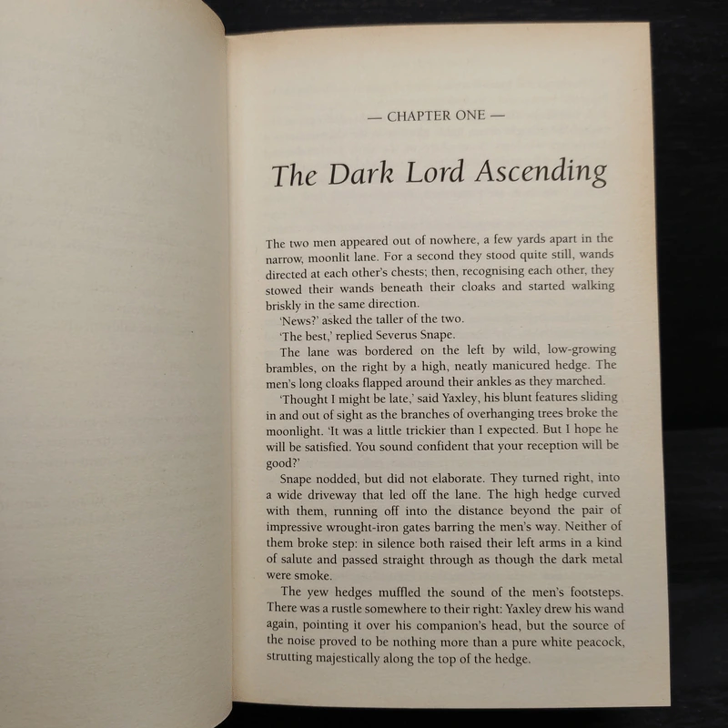 Harry Potter and the Deathly Hallows - J.K.Rowling รูปที่ 6
