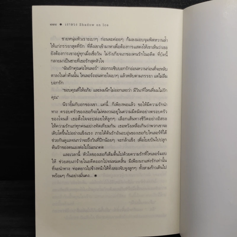 เงาลวง - ณารา รูปที่ 8