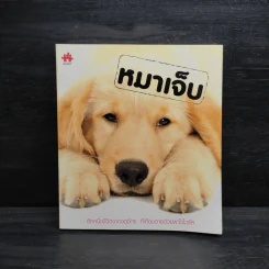 หมาเจ็บ - สรสิทธิ์ เสรีนุกุล รูปที่ 1
