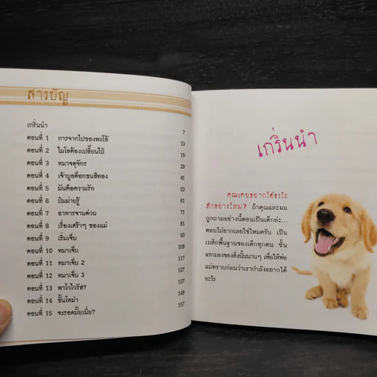 หมาเจ็บ - สรสิทธิ์ เสรีนุกุล รูปที่ 6