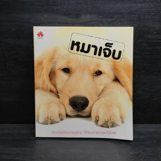 หมาเจ็บ - สรสิทธิ์ เสรีนุกุล รูปที่ 1