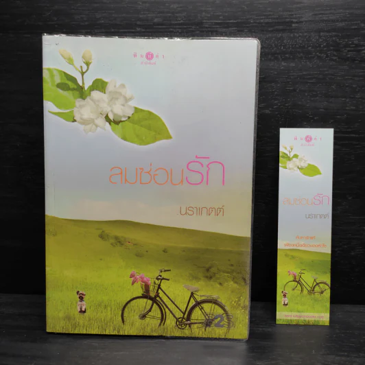 ลมซ่อนรัก - นราเกตต์ รูปที่ 1