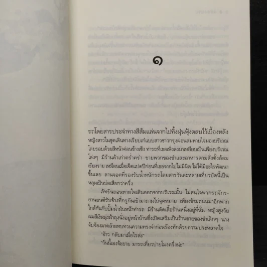 ลมซ่อนรัก - นราเกตต์ รูปที่ 6