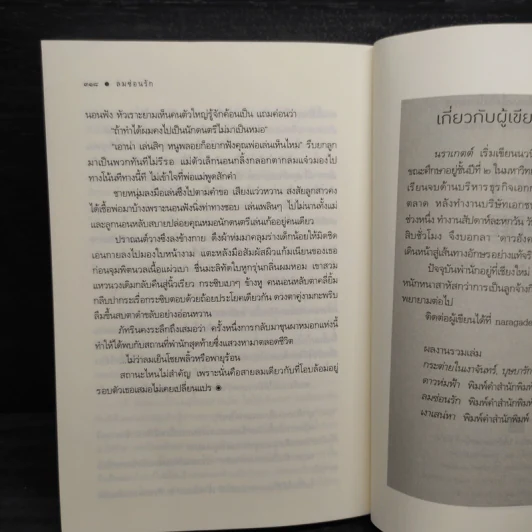 ลมซ่อนรัก - นราเกตต์ รูปที่ 7