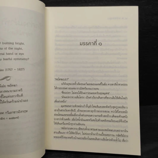 พยัคฆบถ - ชญาน์พิมพ์ รูปที่ 10