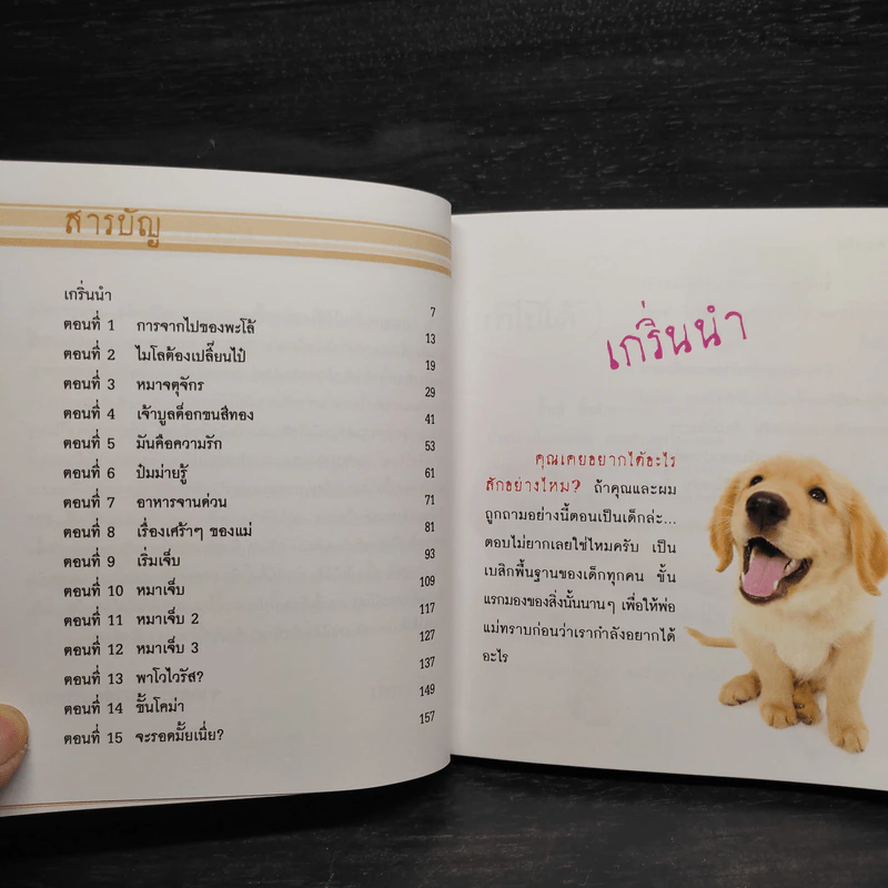 หมาเจ็บ - สรสิทธิ์ เสรีนุกุล รูปที่ 6