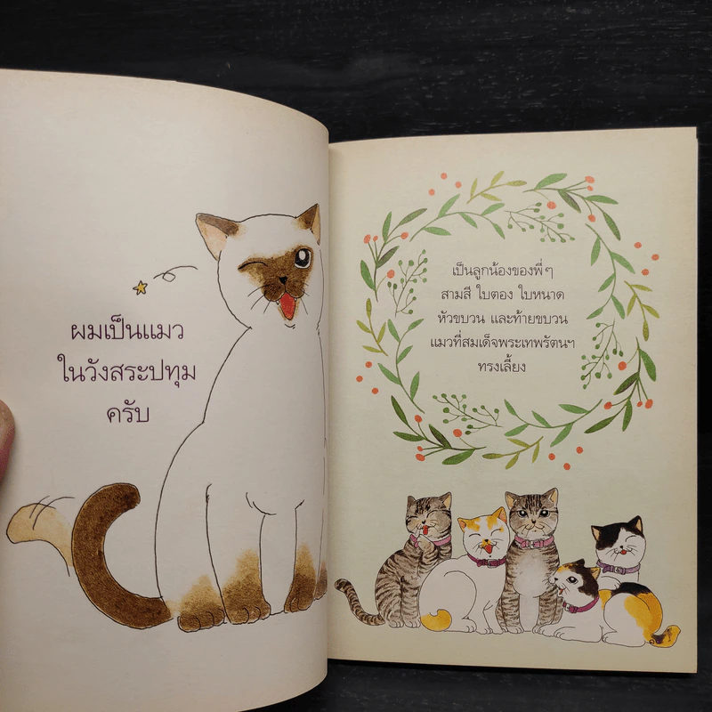 อยู่วังสระปทุม - สุมาลี, หมาจ๋า รูปที่ 5