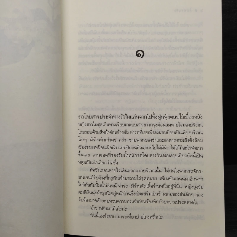 ลมซ่อนรัก - นราเกตต์ รูปที่ 6
