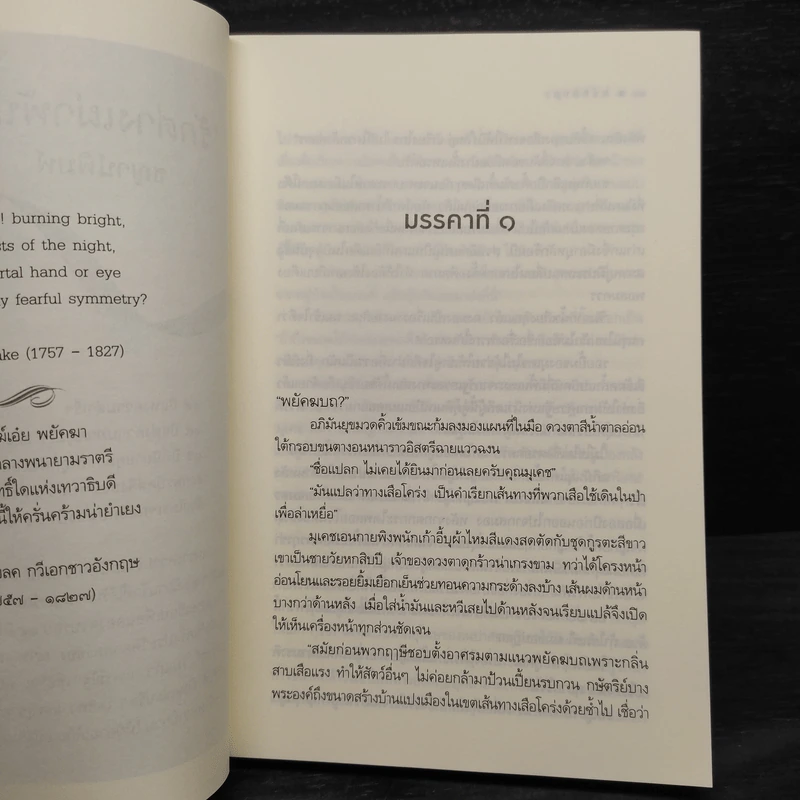 พยัคฆบถ - ชญาน์พิมพ์ รูปที่ 10