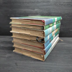 ชุดบ้านน้อย (บ้านเล็กในป่าใหญ่) 7 เล่ม - ลอร่า อิงกัลส์ ไวล์เดอร์, รัตนา รัตนดิลกชัย รูปที่ 4