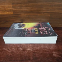 กุหลาบย้อมสี - Sidney Sheldon รูปที่ 3
