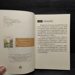 สื่อสองโลก - แก้วเก้า รูปที่ 5