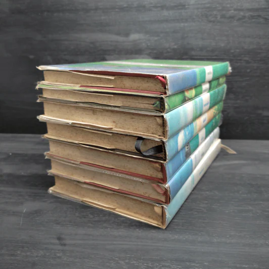 ชุดบ้านน้อย (บ้านเล็กในป่าใหญ่) 7 เล่ม - ลอร่า อิงกัลส์ ไวล์เดอร์, รัตนา รัตนดิลกชัย รูปที่ 4
