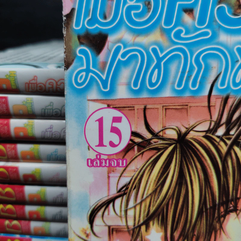 เมื่อความรักมาทักทาย 15 เล่มจบ รูปที่ 5