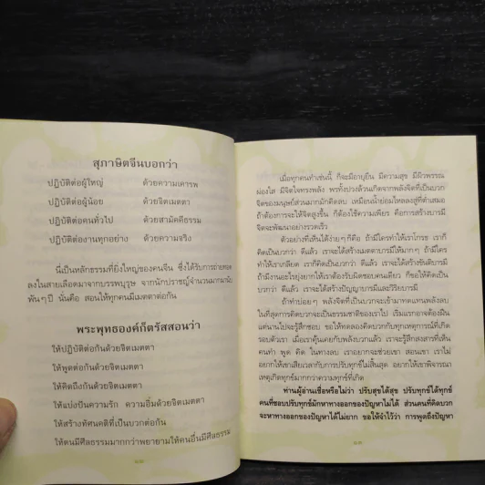 กลยุทธ์แห่งความสุข รูปที่ 6