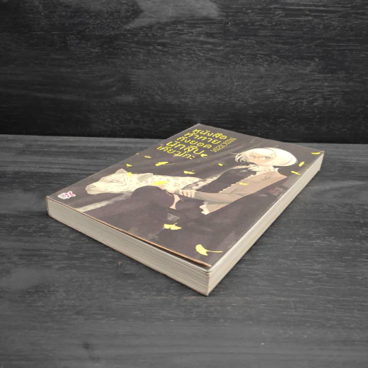 บันทึกท้าทายถึงยอดนักสืบเคียวโกะ - NISIOISIN รูปที่ 4