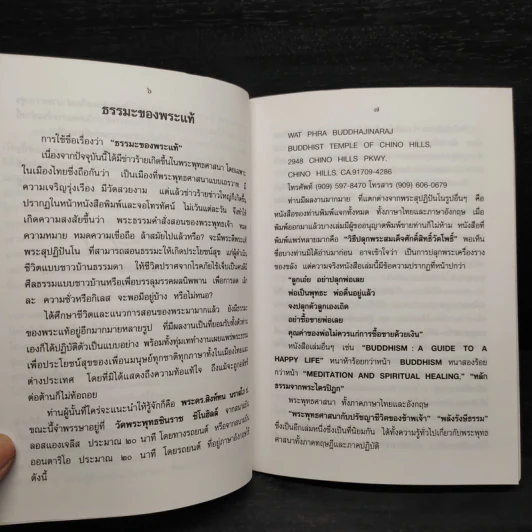 ธรรมะของพระแท้ - พระอาจารย์ ดร.สิงห์ทน นราสโภ (คำซาว) รูปที่ 6