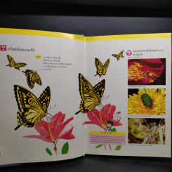 หนังสือชุดความรู้เบื้องต้นสำหรับเด็ก โลกของแมลง รูปที่ 6