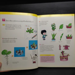 หนังสือชุดความรู้เบื้องต้นสำหรับเด็ก การทดลองอย่างง่าย รูปที่ 6