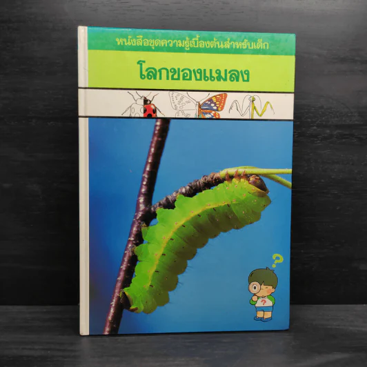 หนังสือชุดความรู้เบื้องต้นสำหรับเด็ก โลกของแมลง รูปที่ 1