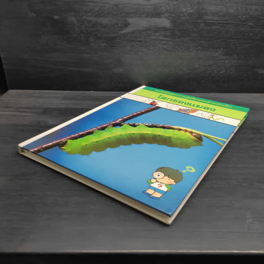 หนังสือชุดความรู้เบื้องต้นสำหรับเด็ก โลกของแมลง รูปที่ 4