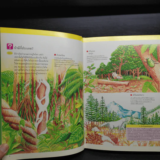 หนังสือชุดความรู้เบื้องต้นสำหรับเด็ก นิเวศวิทยาและสิ่งแวดล้อม รูปที่ 6