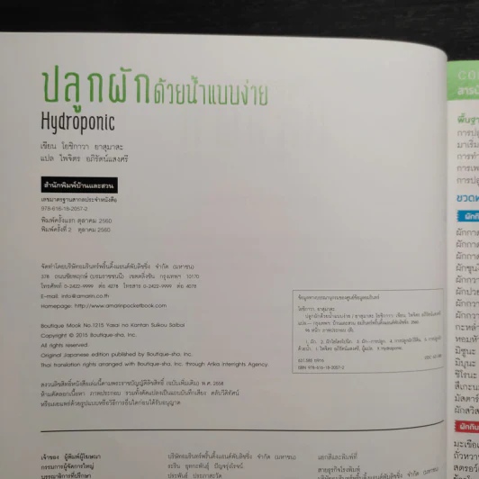 Hydroponic ปลูกผักด้วยน้ำแบบง่าย - โยชิกาว่า ยาสุมาสะ รูปที่ 5