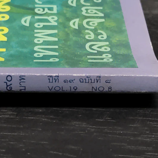 ศิลปวัฒนธรรม ปีที่ 19 ฉบับที่ 8 มิ.ย.2541 รูปที่ 8