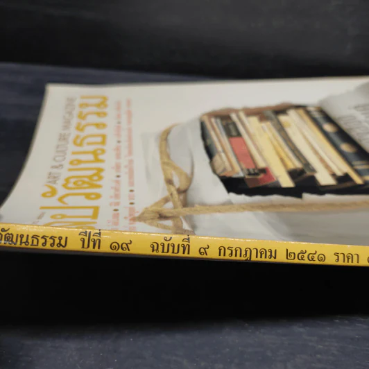 ศิลปวัฒนธรรม ปีที่ 19 ฉบับที่ 9 ก.ค.2541 รูปที่ 8