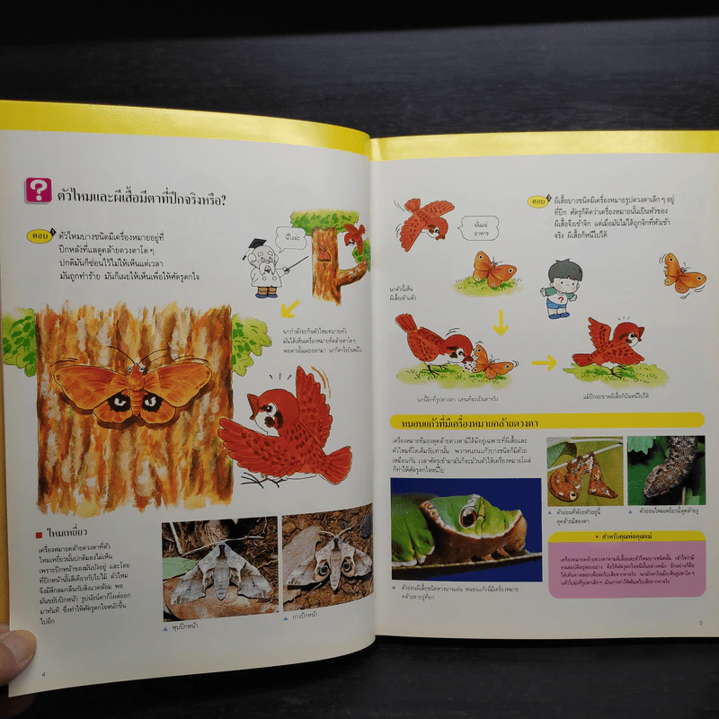 หนังสือชุดความรู้เบื้องต้นสำหรับเด็ก กิจกรรมของสัตว์ รูปที่ 6