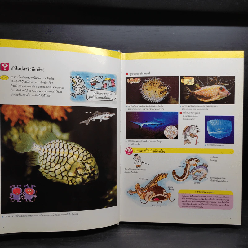หนังสือชุดความรู้เบื้องต้นสำหรับเด็ก ชีวิตในน้ำ รูปที่ 6