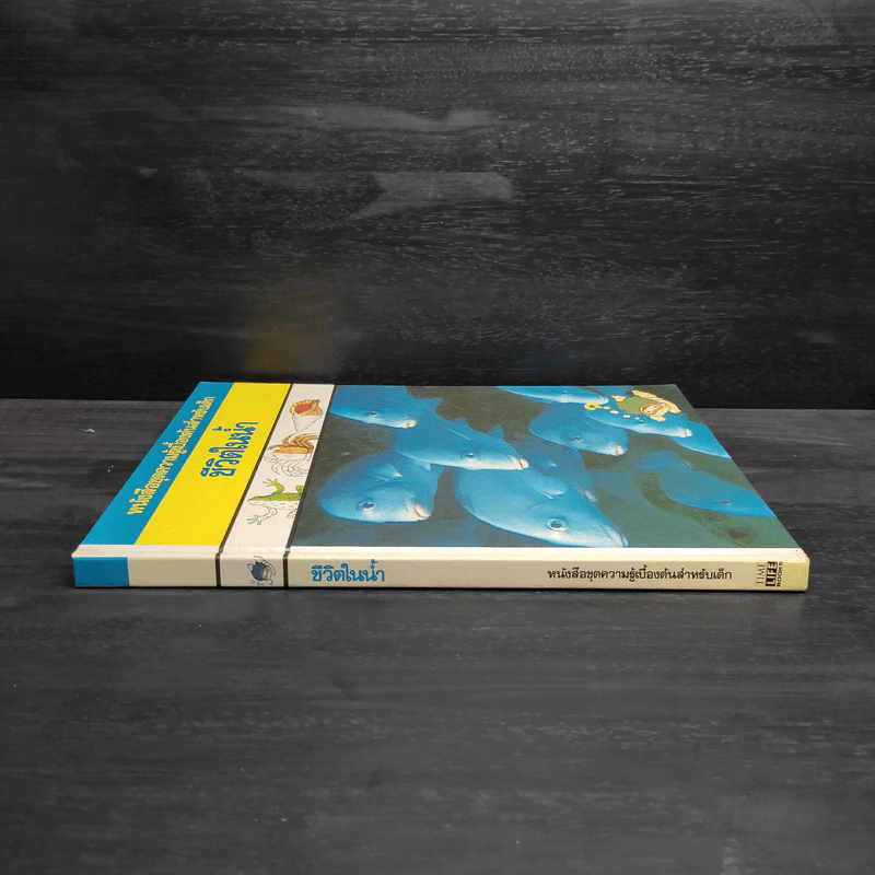 หนังสือชุดความรู้เบื้องต้นสำหรับเด็ก ชีวิตในน้ำ รูปที่ 3