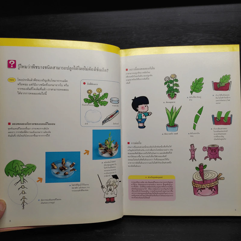 หนังสือชุดความรู้เบื้องต้นสำหรับเด็ก การทดลองอย่างง่าย รูปที่ 6