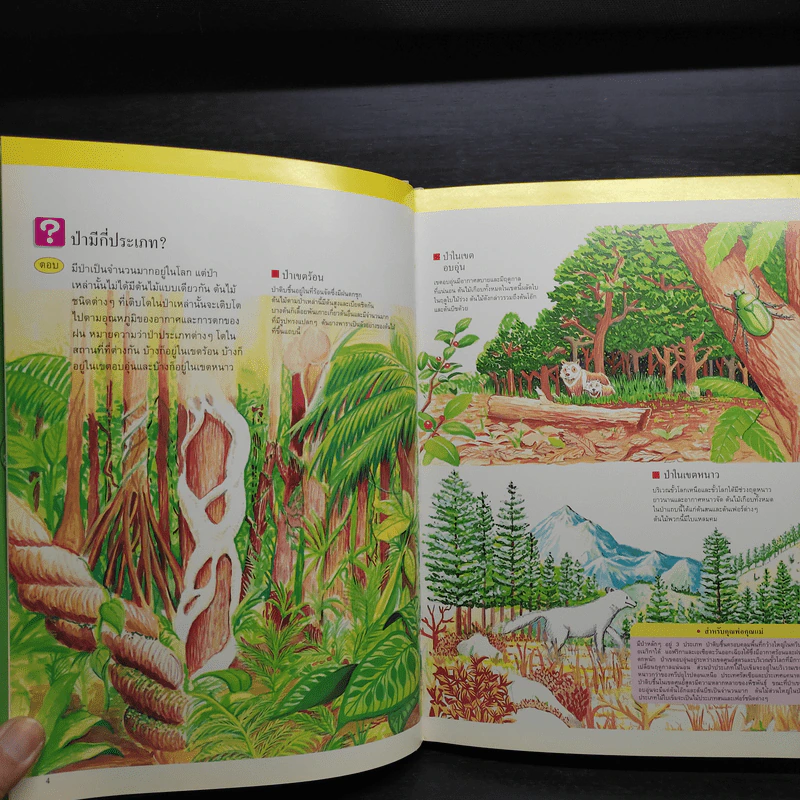 หนังสือชุดความรู้เบื้องต้นสำหรับเด็ก นิเวศวิทยาและสิ่งแวดล้อม รูปที่ 6