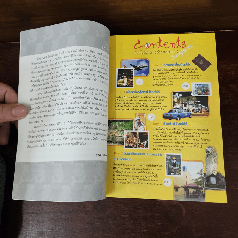 เที่ยวไม่ง้อทัวร์ ตีตั๋วตะลุย สิงคโปร์ รูปที่ 8