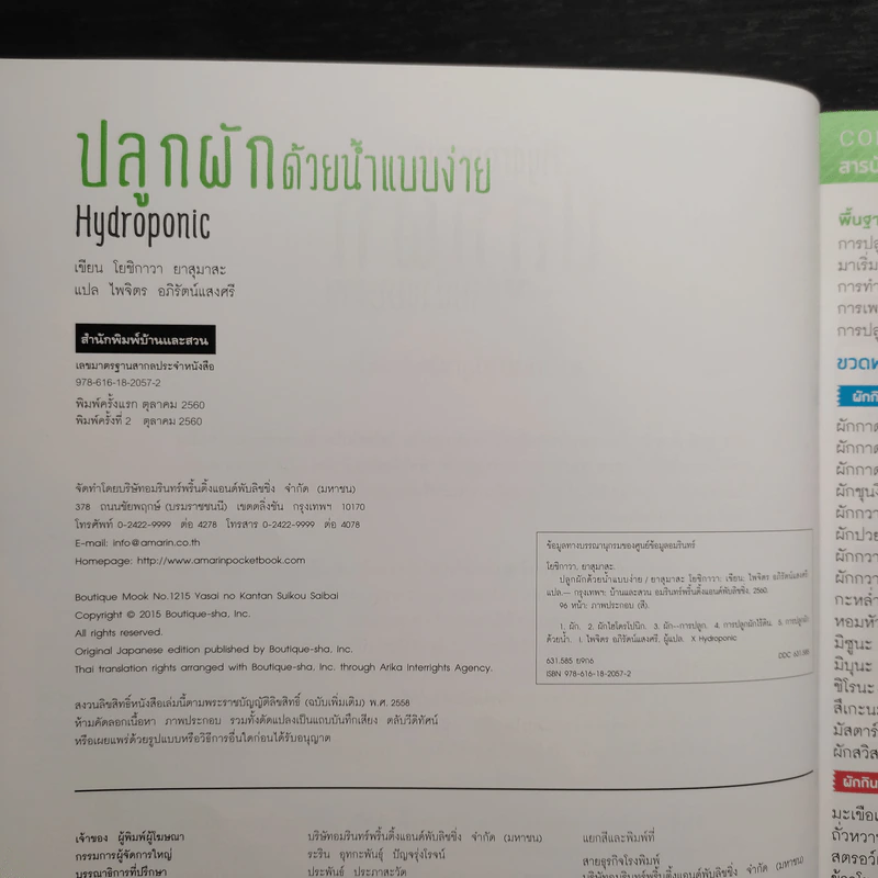 Hydroponic ปลูกผักด้วยน้ำแบบง่าย - โยชิกาว่า ยาสุมาสะ รูปที่ 5
