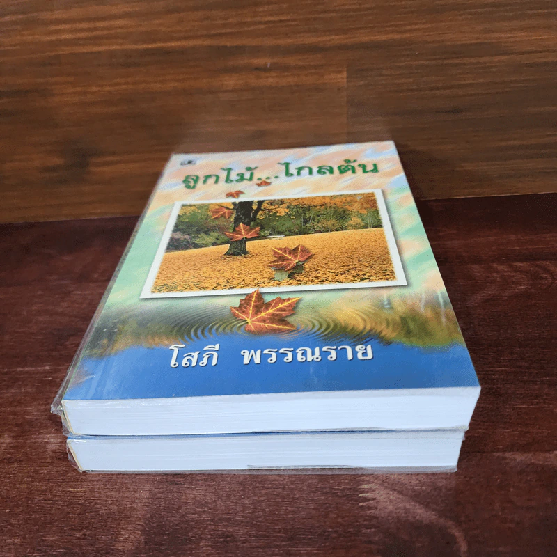 ลูกไม้ไกลต้น 2 เล่มจบ - โสภี พรรณราย รูปที่ 4