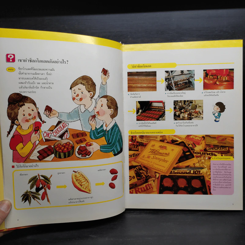 หนังสือชุดความรู้เบื้องต้นสำหรับเด็ก สิ่งรอบตัวเรา รูปที่ 6