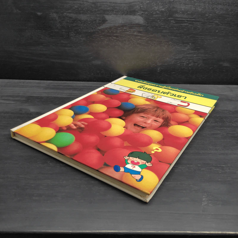 หนังสือชุดความรู้เบื้องต้นสำหรับเด็ก สิ่งรอบตัวเรา รูปที่ 4