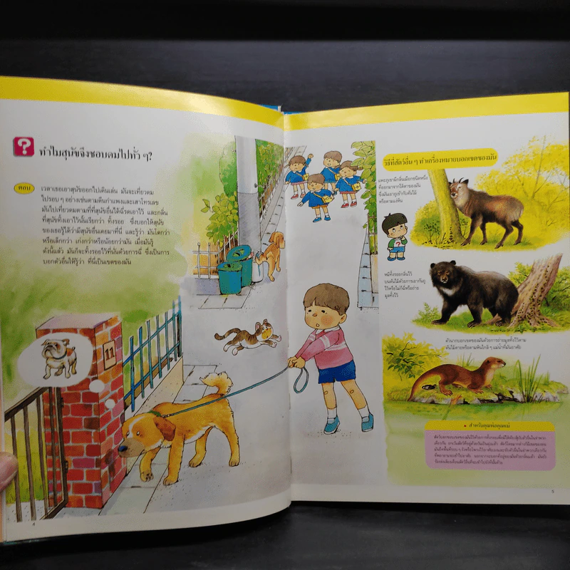 หนังสือชุดความรู้เบื้องต้นสำหรับเด็ก สัตว์ผู้เป็นเพื่อน รูปที่ 6