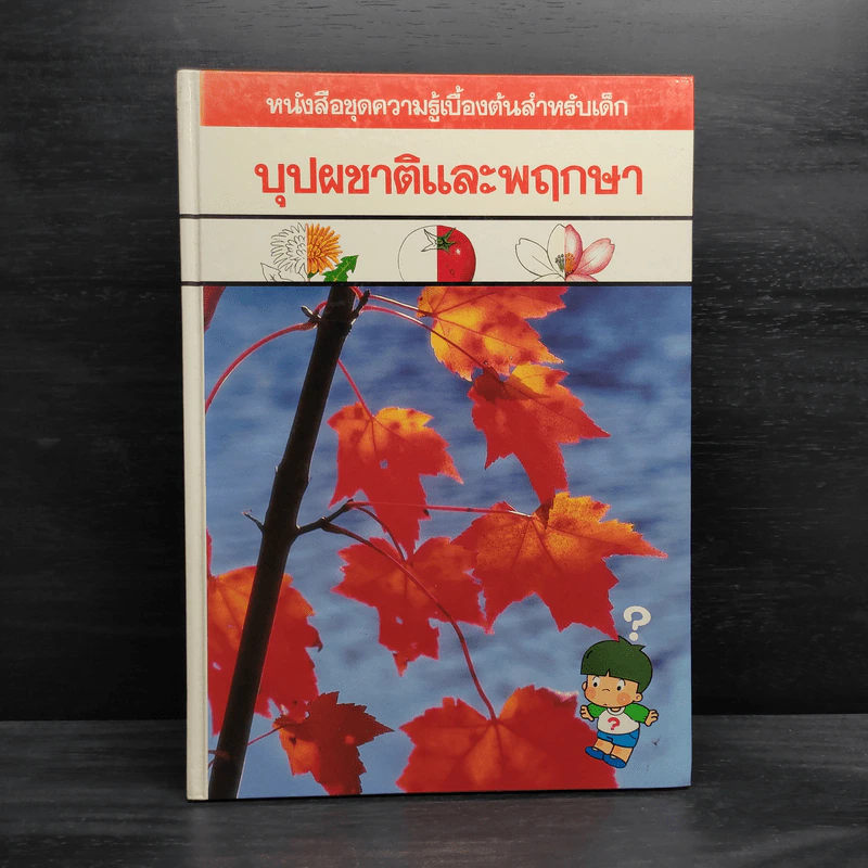 หนังสือชุดความรู้เบื้องต้นสำหรับเด็ก บุปผชาติและพฤกษา รูปที่ 1