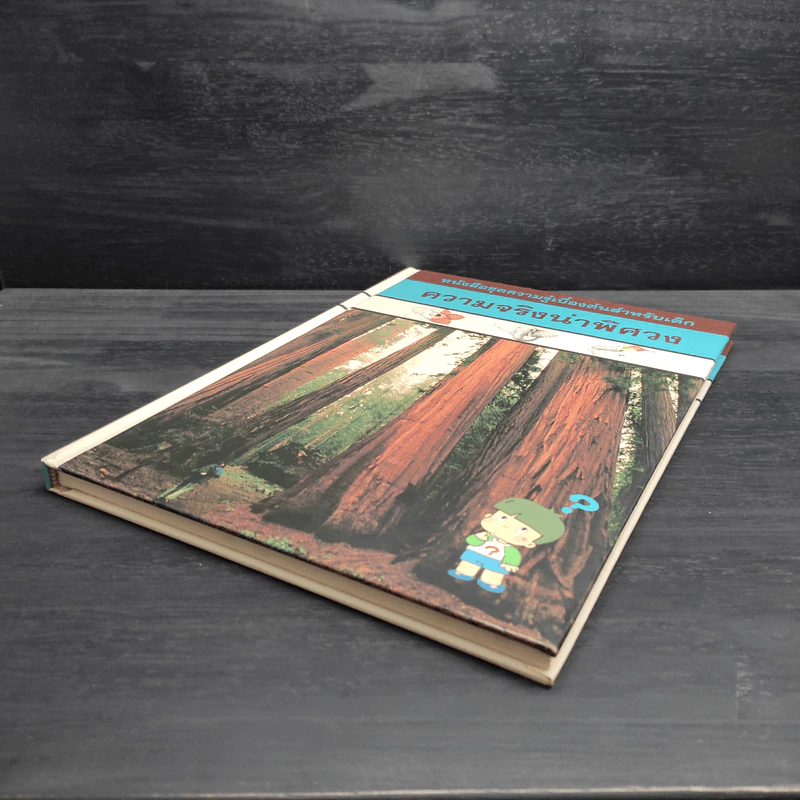 หนังสือชุดความรู้เบื้องต้นสำหรับเด็ก ความจริงน่าพิศวง รูปที่ 4