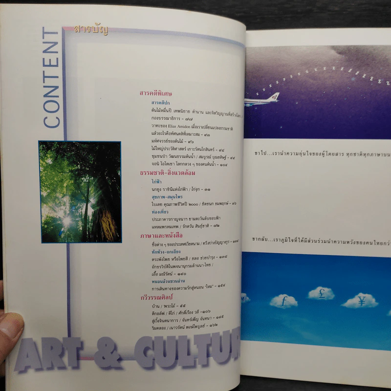 ศิลปวัฒนธรรม ปีที่ 19 ฉบับที่ 8 มิ.ย.2541 รูปที่ 6