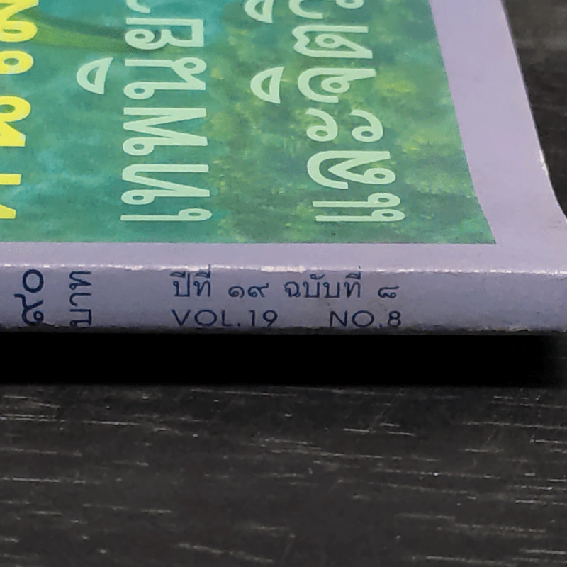 ศิลปวัฒนธรรม ปีที่ 19 ฉบับที่ 8 มิ.ย.2541 รูปที่ 8