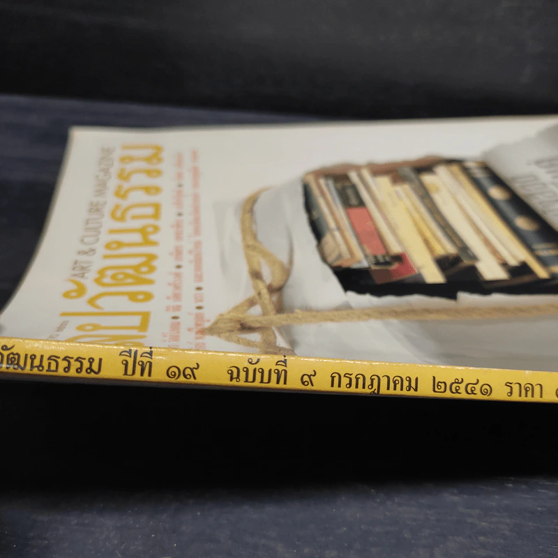 ศิลปวัฒนธรรม ปีที่ 19 ฉบับที่ 9 ก.ค.2541 รูปที่ 8