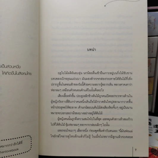 นวลหยกงาม 15 เล่มจบ - ซานเยวี่ยกั่ว รูปที่ 6
