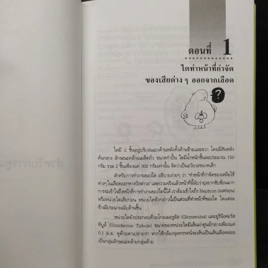 การดูแลผู้ป่วยโรคไต และความรู้ทางโภชนาการสำหรับผู้ป่วยโรคไต - พนิดา กุลประสูติดิลก รูปที่ 8