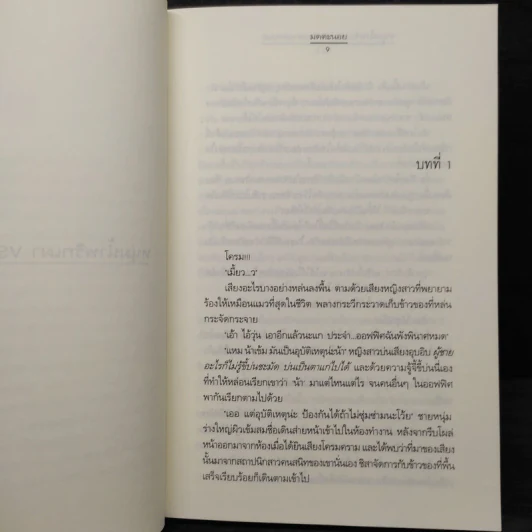หนุ่มน้ำพริกเผา VS สาวมายองเนส - มดตะนอย รูปที่ 6