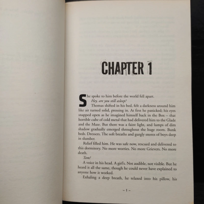 The Maze Runner 4 Books - James Dashner รูปที่ 6