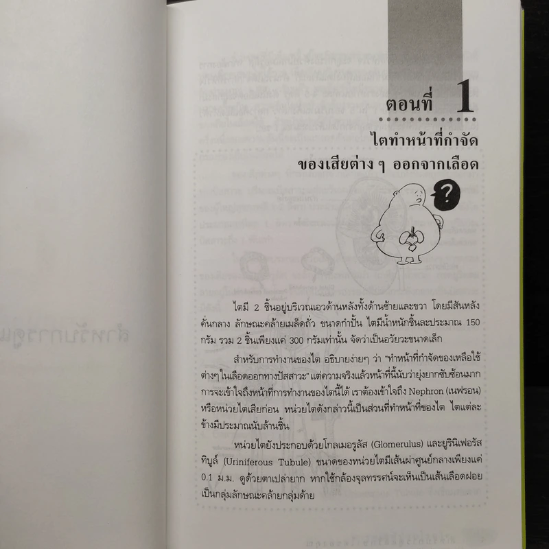 การดูแลผู้ป่วยโรคไต และความรู้ทางโภชนาการสำหรับผู้ป่วยโรคไต - พนิดา กุลประสูติดิลก รูปที่ 8